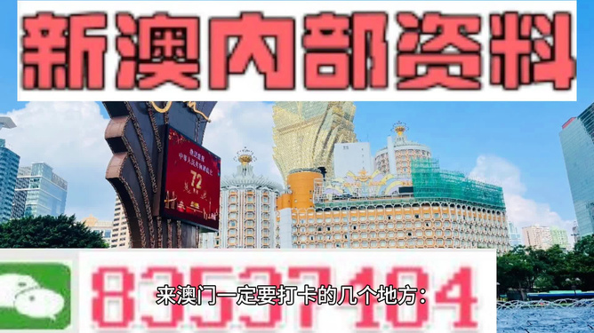 2024澳门正版精准免费|全面释义解释落实